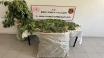 Birecik’te uyuşturucu operasyonu! 3 kişi gözaltına alındı