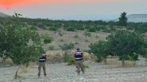 Birecik'te fıstık hırsızlığına karşı jandarma göz açtırmıyor
